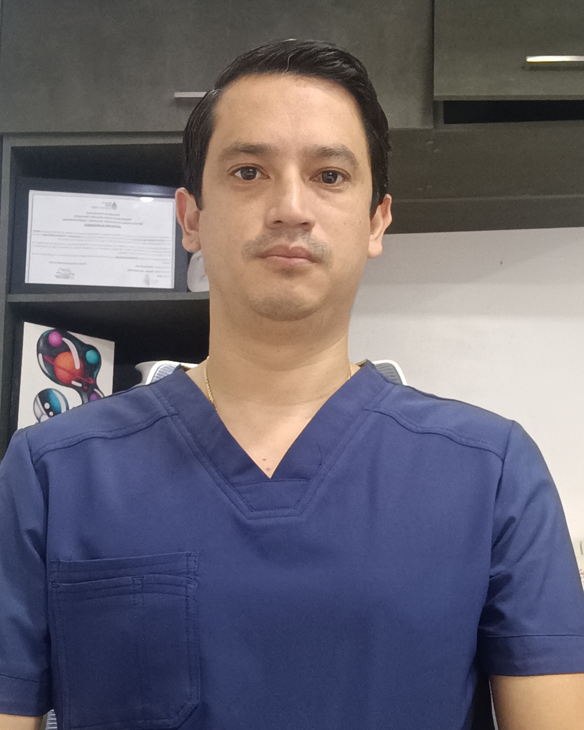 BORIS ADRIAN FALCONI LOQUI